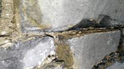 acastle
                          104775.jpg